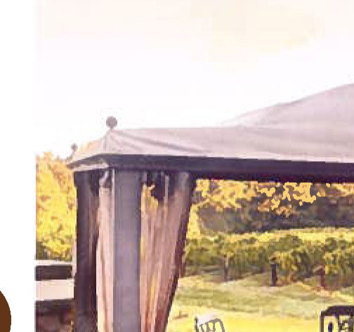 Meijer Carlisle 10 x 10 Replacement Canopy - 350